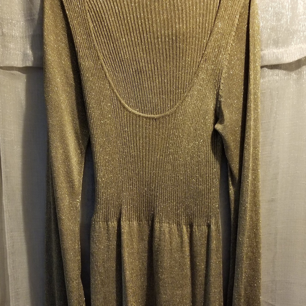 Gold Zara Dress